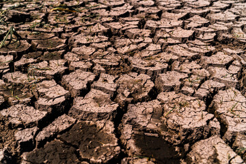 Dried land suffering from drought. Effects of climate change such as desertification and droughts. Global warming and greenhouse effect concept. Water crisis.