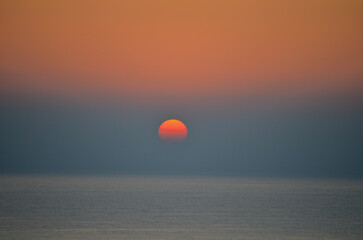 sun grow up