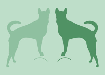 Veterinary dog passport, color silhouette vector. Breed of dog