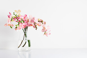 Fototapeta na wymiar Beautiful flowers composition. Bouquet pink orchids in glass vase on white table. Pink phalaenopsis orchid flower white background. Concept Valentines Day, Happy Women's Day.