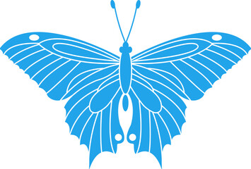 Blue butterfly isolated on white 