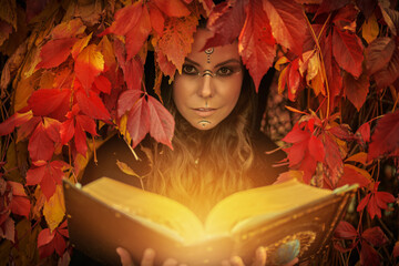 druid with magic book