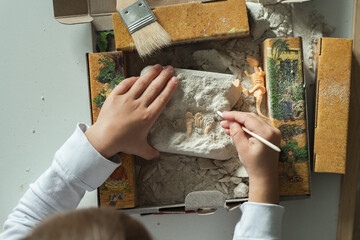 Dino excavation kit for a little kid. Girl playing popular table game. Flat lay. Overhead view of...