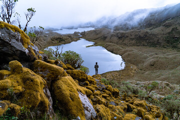 Fototapeta na wymiar Magical and mysterious lagoons in Ecuador, Atillo lagoons
