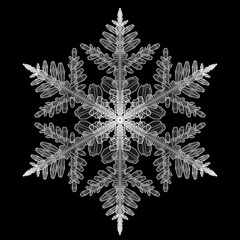 A white 3d rendered snowflake on black background