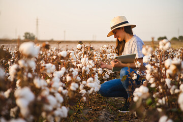 Smart cotton farmer checks the cotton field with tablet. Inteligent agriculture and digital agriculture. Female, young woman agronomist checking quality of cotton - obrazy, fototapety, plakaty
