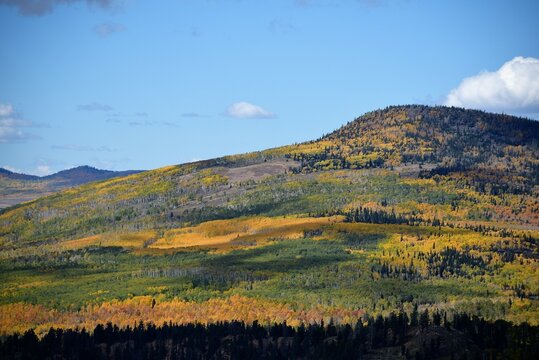 Rolling Hills Show their Fall Colors