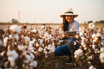 Portrair Cotton farmer woman checks the field with tablet. Inteligent agriculture and digital...