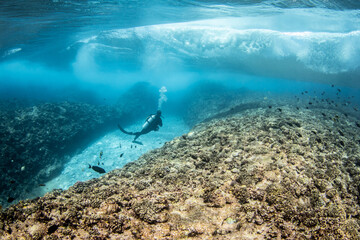 Reef life of Rangiroa