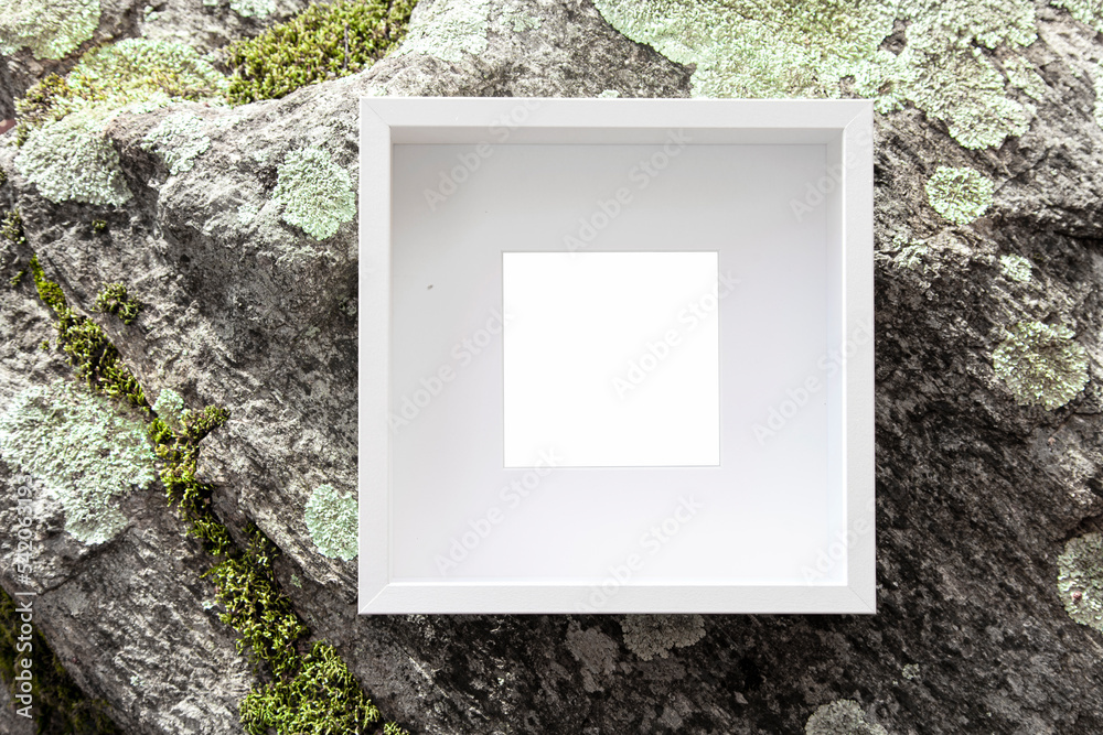 Wall mural picture frame on moss rock. empty frame with copy space, nature forest natural background, art infor