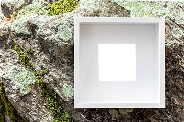 Picture frame on moss rock. Empty frame with copy space, nature forest natural background, art information, sign concept