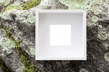 Picture frame on moss rock. Empty frame with copy space, nature forest natural background, art information, sign concept