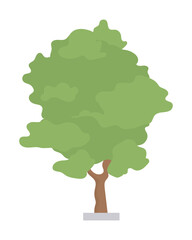Ash tree semi flat color vector object. Editable element. Full sized item on white. Urban greenery care. City plant in park simple cartoon style illustration for web graphic design and animation