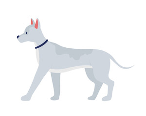 Grey dog semi flat color vector character. Editable figure. Full sized animal on white. Domestic animal. Lovely pet simple cartoon style illustration for web graphic design and animation