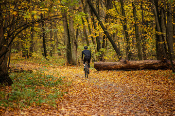 Obraz premium A cyclist riding a bike in an autumn park. Professional mountain bike cyclist riding trail in forest