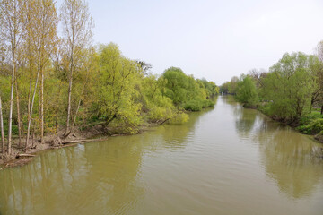 Altrheinarm bei Stockstadt