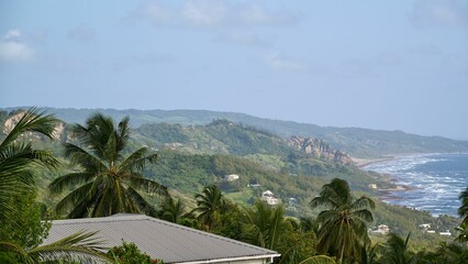 Fototapeta na wymiar Beautiful view of an island with palm trees on a sunny day