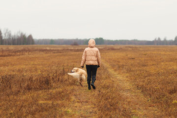 A woman walks with a dog, a golden retriever in the autumn forest.
