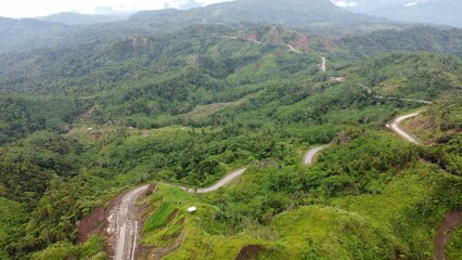 Beautiful view of a green landscape with trees and road on a hill