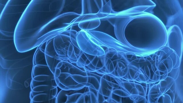 3d rendered medical animation of hormones being produce by the pancreas