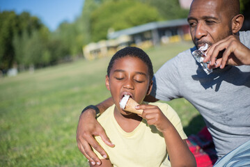 Close-up of daddy and son eating ice-cream in park. Happy African American man hugging boy both...