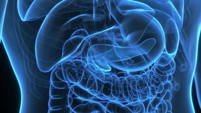 3d rendered medical animation of hormones being produce by the pancreas