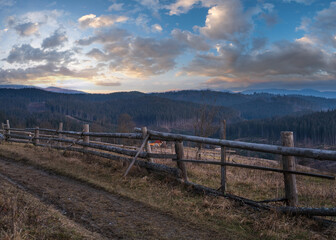 Obraz premium Picturesque pre sunrise morning above late autumn mountain countryside. Ukraine, Carpathian Mountains, Petros top in far. Peaceful traveling, seasonal, nature and countryside beauty concept scene.