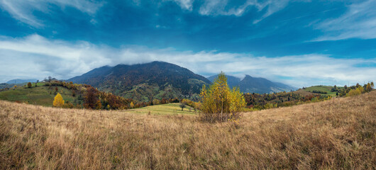 Obraz premium Cloudy and foggy day autumn mountains scene. Peaceful picturesque traveling, seasonal, nature and countryside beauty concept scene. Carpathian Mountains, Ukraine.