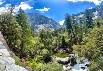 Fototapeta na wymiar Yosemite, parque nacional. 