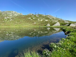 Fototapeta na wymiar Summer atmosphere on the Lago di Rodont lake (Lake Rodont) in the Swiss alpine area of the mountain St. Gotthard Pass (Gotthardpass), Airolo - Canton of Ticino (Tessin), Switzerland (Schweiz)