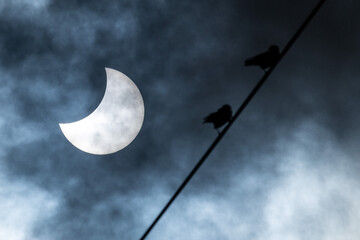partial solar eclipse on October 25, 2022 with dark silhouette of birds at the first plan