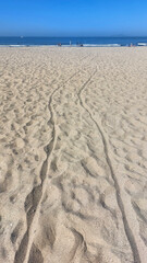 Fototapeta na wymiar Tracks from a stroller crossing the beach sand.
