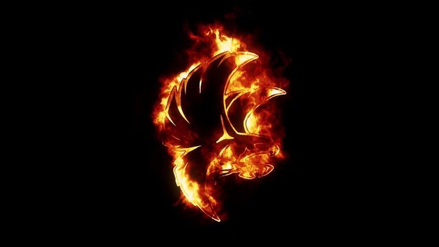 Fire Burning Hawk Logo Looping Animation Graphic Element V2