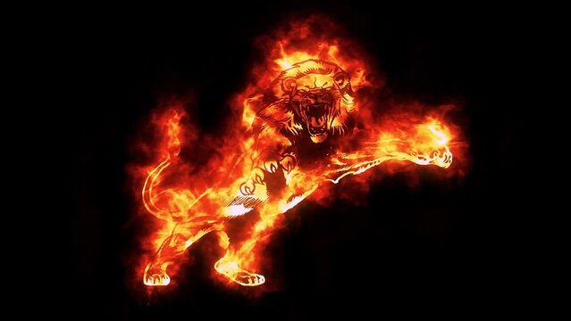 Fire Burning Lion Logo Looping Animation Graphic Element