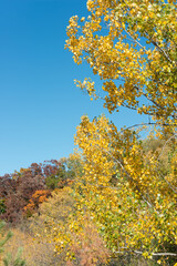 Fototapeta premium scenic view in autumn