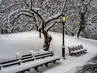 Central Park in winter  during snow storm