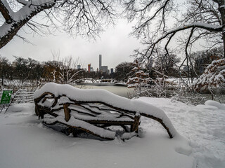 Central Park in winter  during snow storm