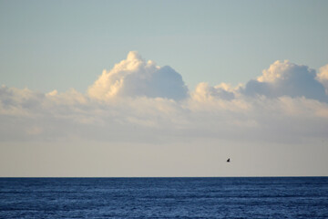 White cumulus clouds over the blue surface of the sea on sunny day. Beautiful natural background. Movement of clouds in the sky. Sky landscape. Seascape. White blue colors. Timelapse.