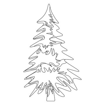 Green pine in outline style. Forest traditional tree. Png illustration.