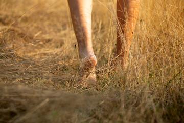 person walking in the grass