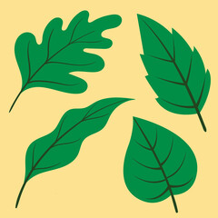 Fototapeta na wymiar Tropical leaf themed background vector design