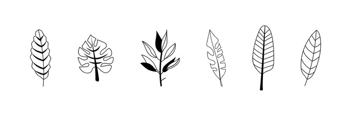 Set of many drawn leaves on white background
