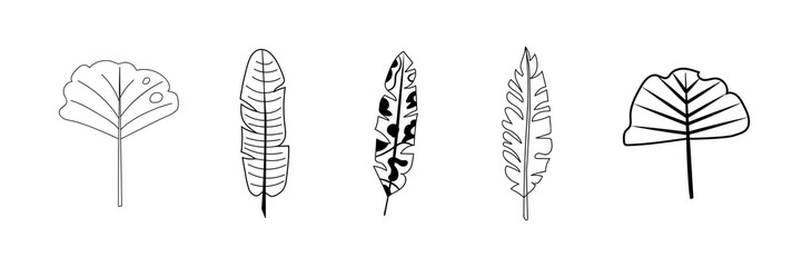 Set of many drawn leaves on white background