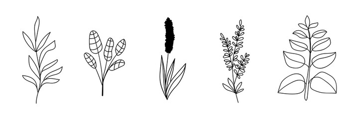 Set of many drawn plants on white background