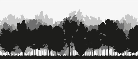 Spruce treeline silhouette landscape. Pine tree silhouette landscape