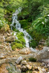 Vertical shot of a waterfall with stones and greenery