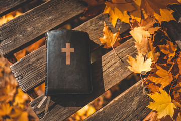 Bible on a wooden background in autumn leaves