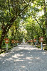 宮崎神宮の境内	