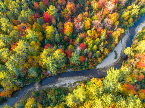aerial view of brook in colorful autumn forest