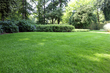 Obraz premium Beautiful lawn with green grass on sunny day